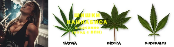 гидра Нефтекумск