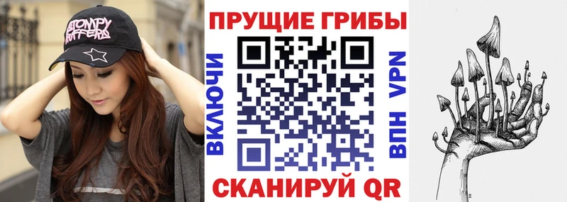 Галлюциногенные грибы Psilocybe  Купить  Игра 